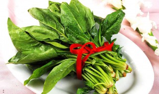 什么病不能吃菠菜 这两类人最好不要吃