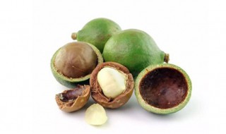 夏威夷果的副作用 怎么办我很喜欢吃