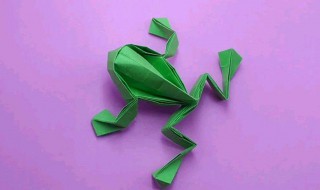 小青蛙怎么折 小青蛙的折叠方法详解