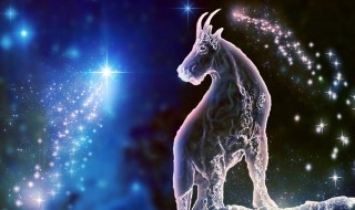 什么细节能感动摩羯男 需要人的关心吗