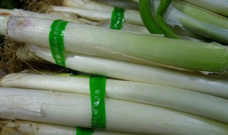 大葱重茬种植技术 快来看看吧