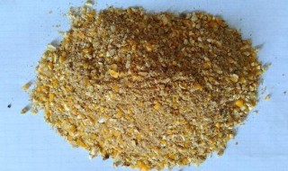 玉米怎样喂鸡效果最好 使用玉米的方式