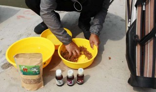 丸九饵料黑坑绝杀配方 三种黑坑丸九饵料配方推荐