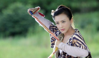 樊梨花大结局 故事概要