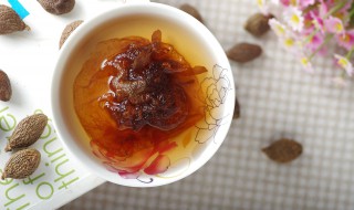 胖大海正确泡水方法 胖大海泡水的药效有哪些