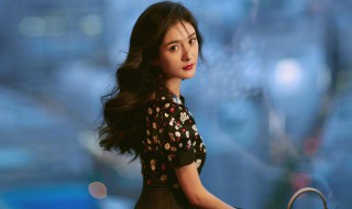 爱的供养原唱 挺好听的一首歌