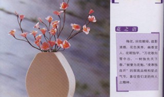 怎么折梅花 如何折好梅花