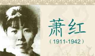 萧红简介 萧红个人资料
