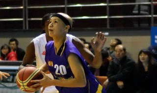 石川幸子简介 石川幸子的简介