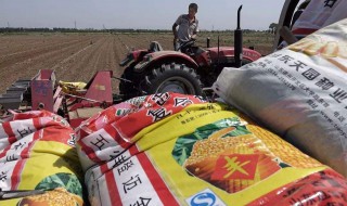 小麦底肥3个15怎么样 小麦底肥施用“三个十五”复合肥好不好