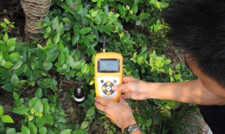 酸性土壤怎么弄 有什么方法