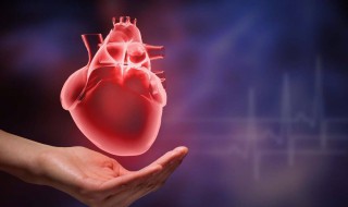 心脏彩超有辐射吗 心脏在什么位置