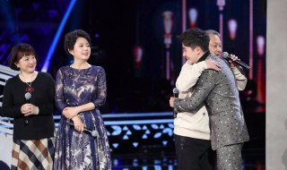 陈力枉凝眉原唱 是什么电视剧主题曲