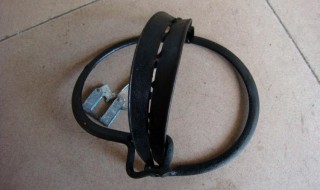 下夹子夹野兔的妙招 具体内容如下