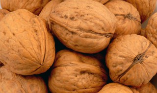 核桃种子怎么催芽方法 具体怎么做呢