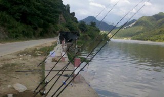 海竿怎么钓鲫鱼 海竿钓鲫鱼的技巧