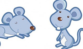 欲钱买才高八斗的生肖 欲钱买才高八斗是哪个生肖