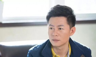 电视剧长兄简介 电视剧大哥的简介