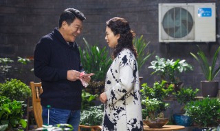 我和我的女儿们电视剧演员表 我和我的儿女们演职员