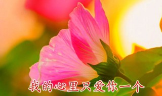 爱你错错错原唱 爱你错错错原唱是谁