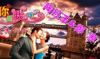 你是我的唯一原唱 你是我的唯一原唱是郑源和陶钰玉