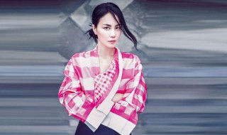 王菲我和我的祖国原唱 大家都听过这首歌吗