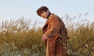 黄致列简介 黄致列的介绍