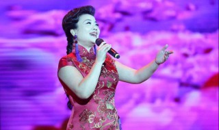 南泥湾人声原唱 你喜欢这首歌吗