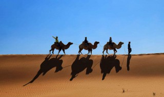 送战友驼铃原唱 你都了解了吗