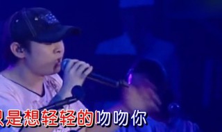 刀郎披着羊皮的狼原唱 是一首什么样的歌曲