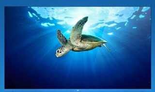 电视55寸长宽是多少厘米 保持距离 保护视力