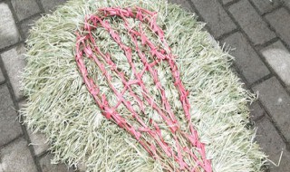 怎样用袋子做扫把 只需做到这四点