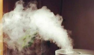 怎样增加室内湿度 有如下四种方法