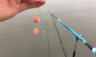 6h鱼竿什么意思 看看就明白了