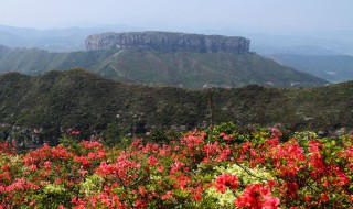 山丹丹开花红艳艳原唱 山丹丹开花红艳艳原唱者为贠恩凤