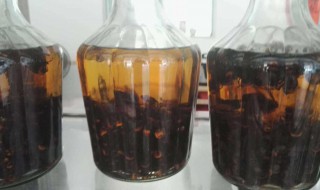 女人饮蜂酒有什么好处 饮蜂酒有哪些好处