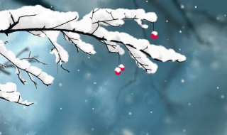 写雪的诗句优美句子 这些句子很美