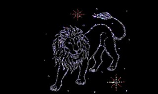 狮子座喜欢的星座 有哪些星座