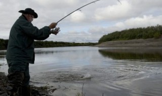 红眼鱼怎么钓 怎么钓红眼鱼