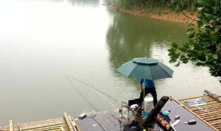 长江翘嘴钓法 这样钓就对了