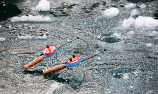 冬天什么鱼好钓 冬天以后可以钓什么鱼