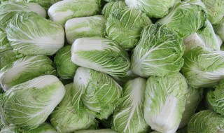 白菜的品种 原来白菜有这么多品种