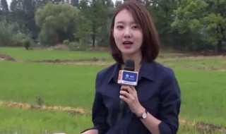 主持人俞熙雯个人简历 俞熙雯个人资料