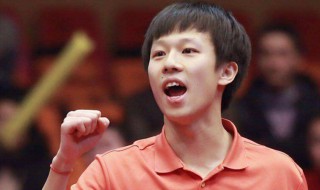 杨影个人简历 来看看详细资料