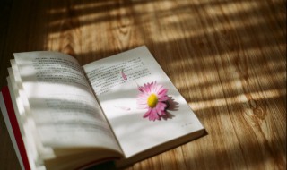 村上春树最扎心的句子 看完潸然泪下