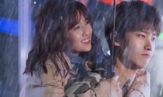 夏柯刑运是什么电视剧 你有看过吗