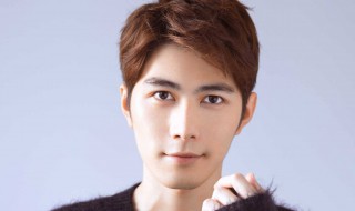 演员陈学冬简历 陈学冬个人资料