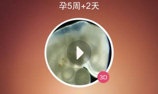 孕期提醒介绍 孕期提醒app是什么