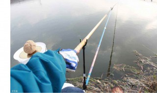 野钓如何选漂 野钓怎么选漂