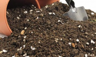 营养土的自制方法 六大方法